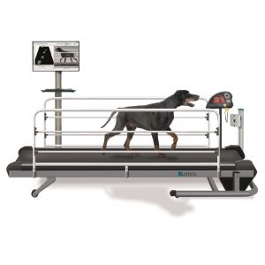 CanidGait: Innovador Sistema de Análisis de Marcha para Perros